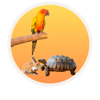 Small Pets