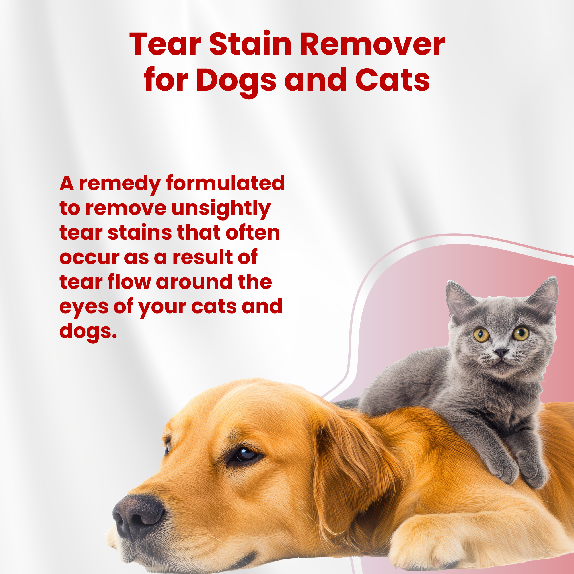 Bio Eyes (Tear Stain Remover) - Image 2