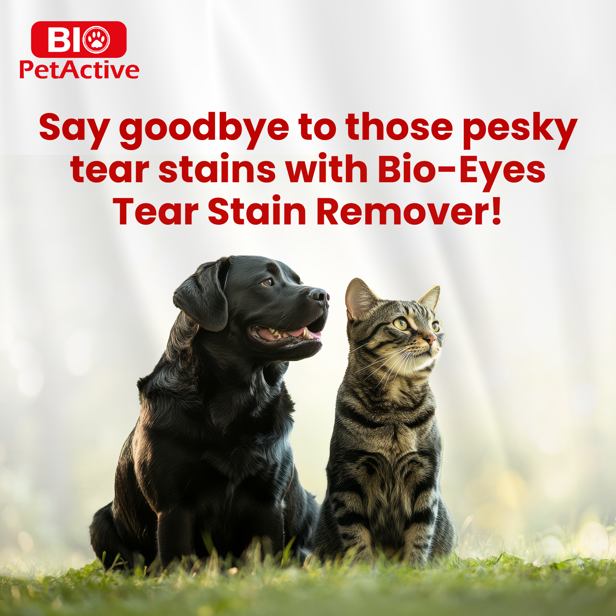 Bio Eyes (Tear Stain Remover) - Image 4