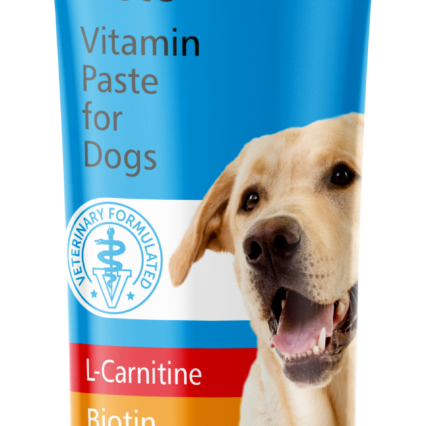 VitaliDog Junior (Multivitamin Paste for Dogs)