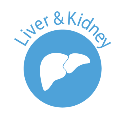 Liver & Kidney