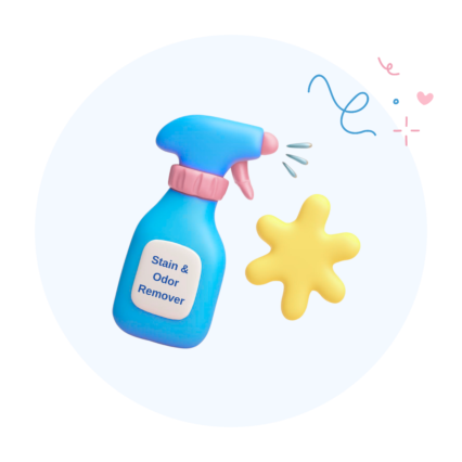 Stain & Odor Remover
